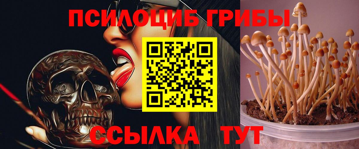 Псилоцибиновые грибы мухоморы Железноводск