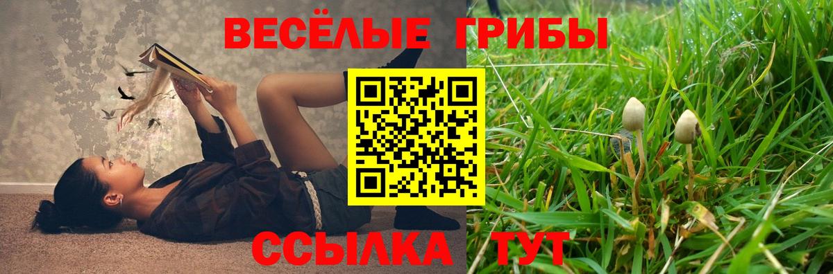 Псилоцибиновые грибы прущие грибы  Вход с VPN  Железноводск 