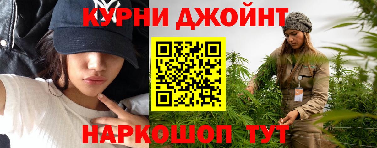 Бошки Шишки гибрид  Бошки Шишки планчик  Бошки марихуана ГИДРОПОН  Железноводск  Вход с VPN 